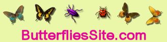butterfliessite.com