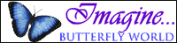 Butterfly World